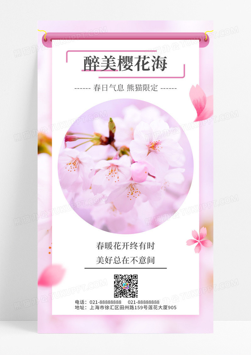 樱花粉色实拍春天春日春季樱花节海手机宣传海报