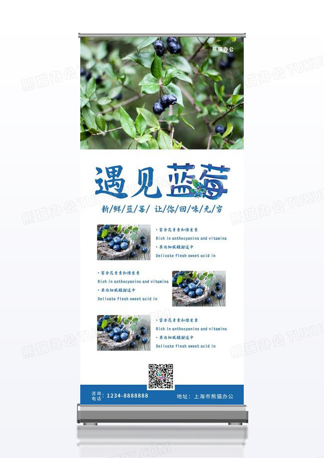 美味蓝莓设计简约产品宣传水果蓝莓X展架易拉宝