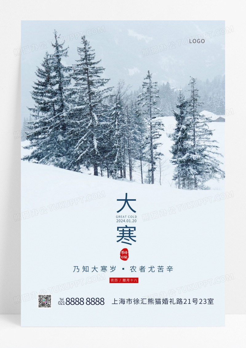 简约二十四节气大寒大寒手机UI海报设计大寒海报