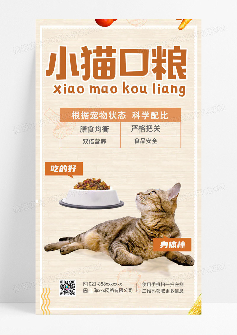 简约风小猫口粮宠物手机文案海报