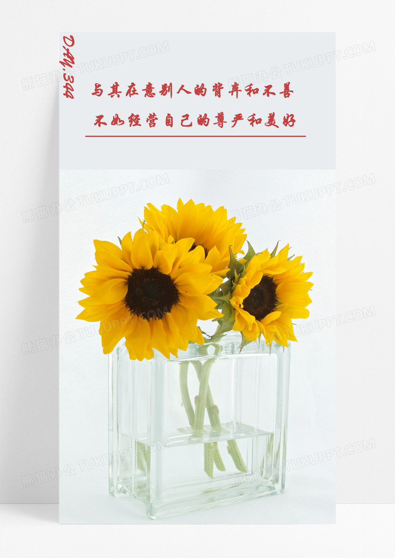 心情日签手机海报配图的图片