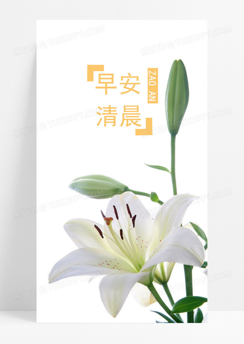 早安清晨手机的海报配图图片