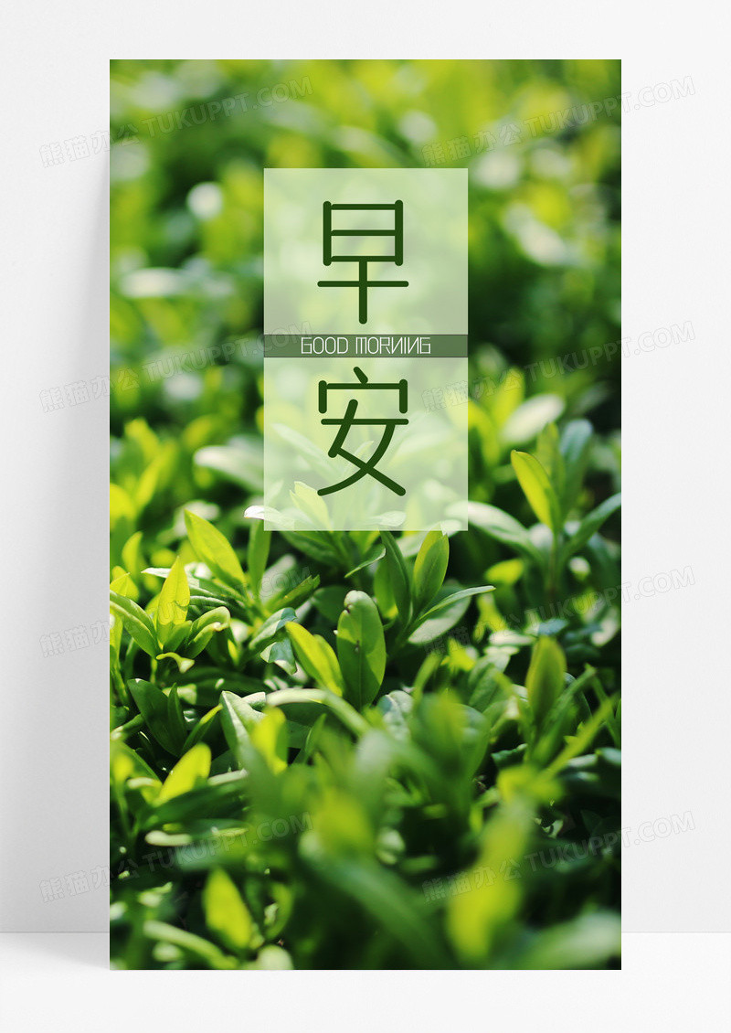 早安海报手机海报小草