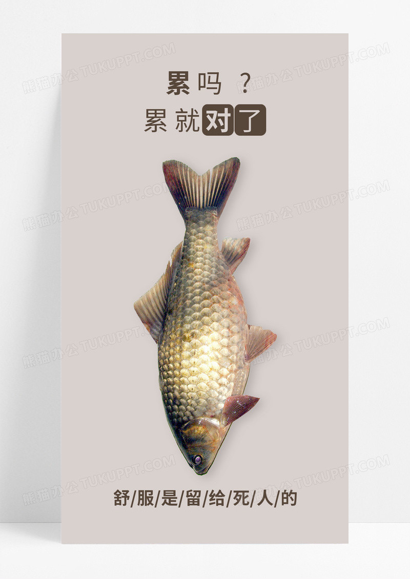 励志努力日签手机海报配图图片