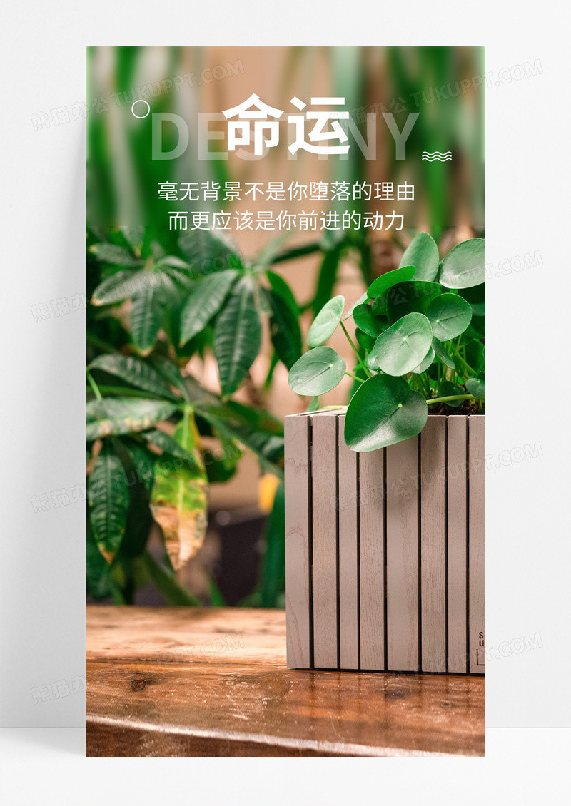 命运动力手机海报配图图片