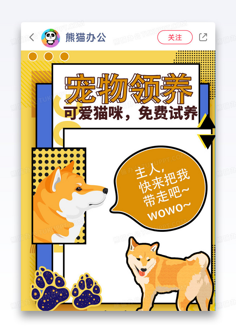 卡通猫咪宠物领养小红书封面图片