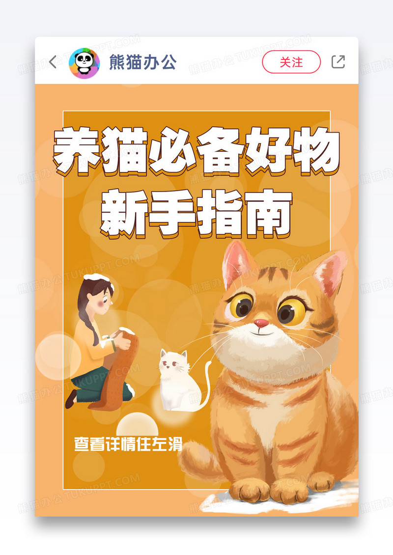 喵主子猫咪宠物领养小红书封面图片