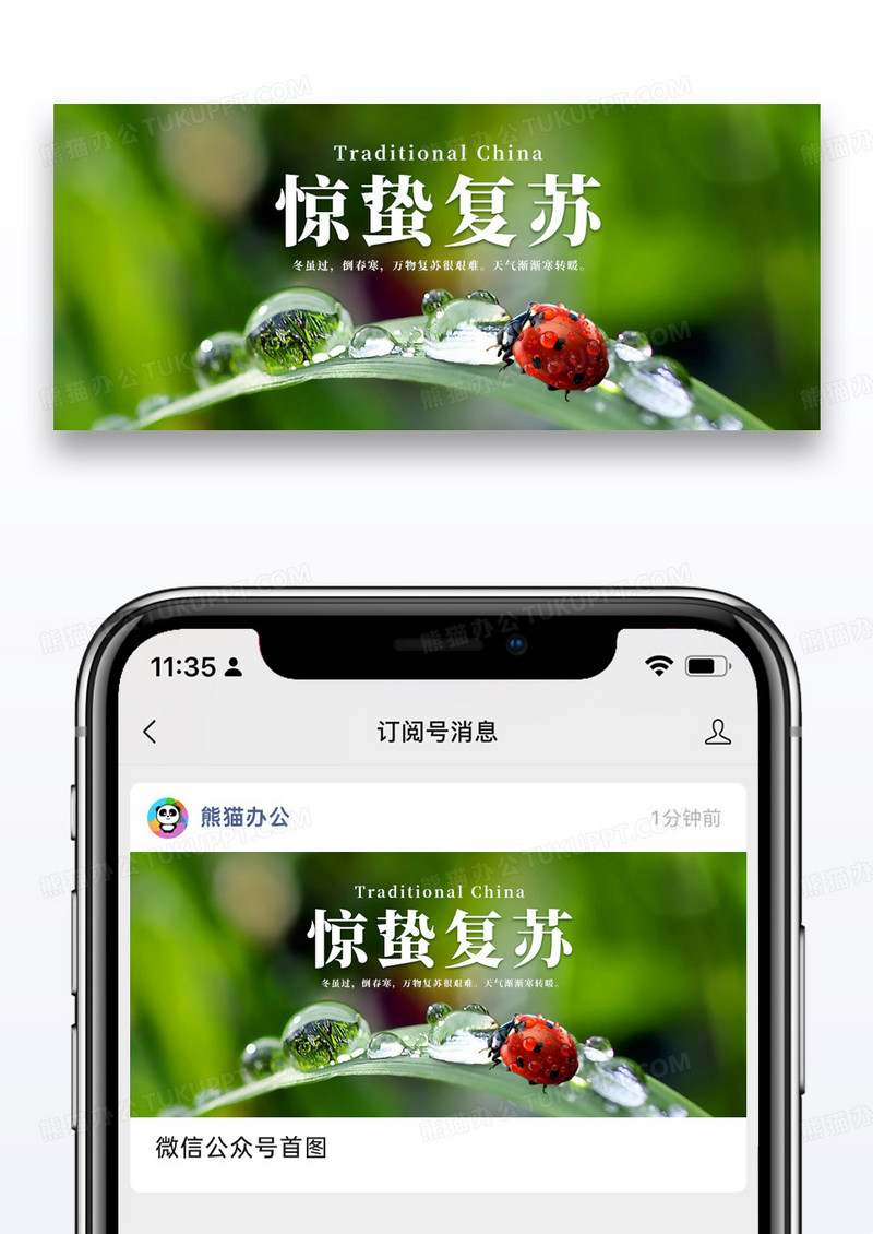 简约惊蛰公众号封面配图图片