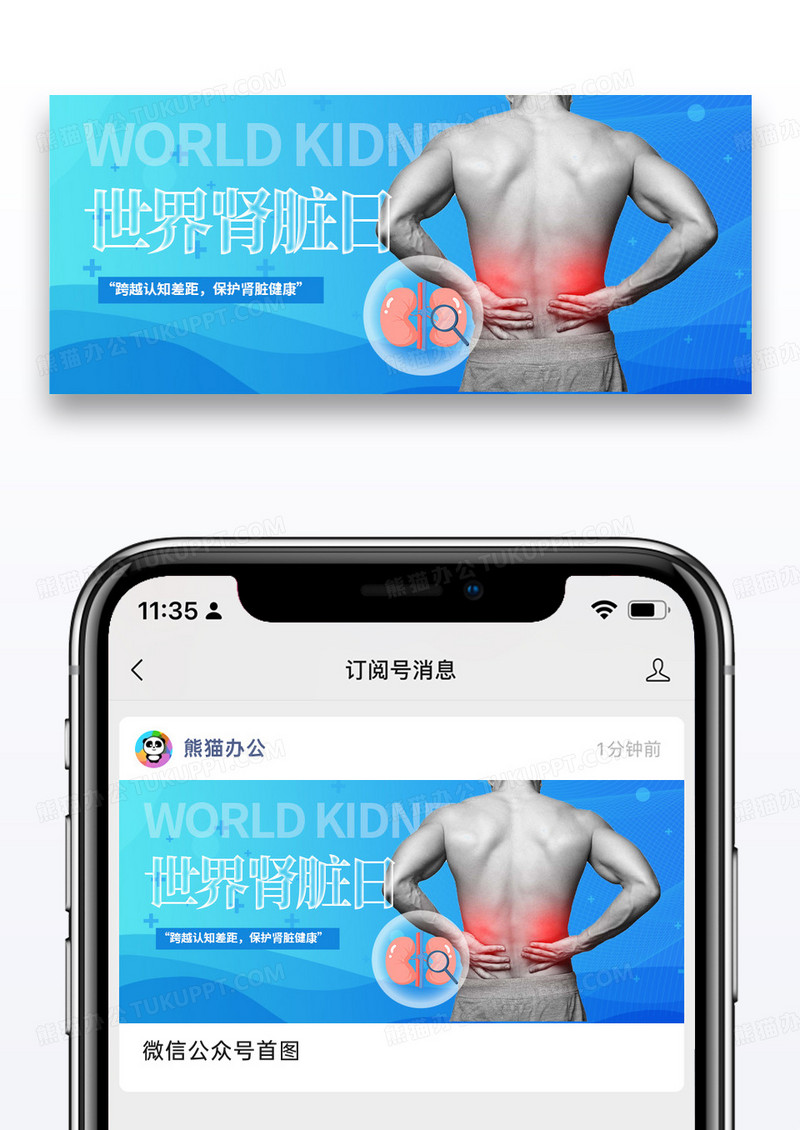 蓝色简约时尚世界肾脏日微信封面图片