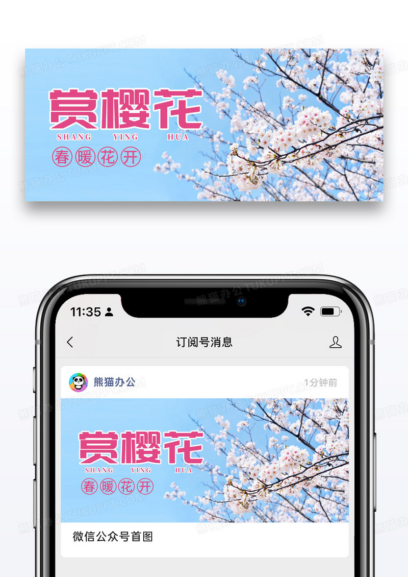 简约赏樱花公众号封面配图图片