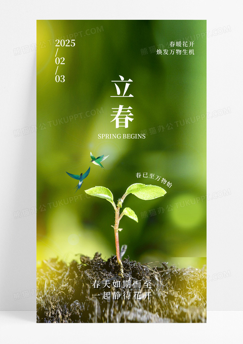 绿色实拍风二十四节气立春海报