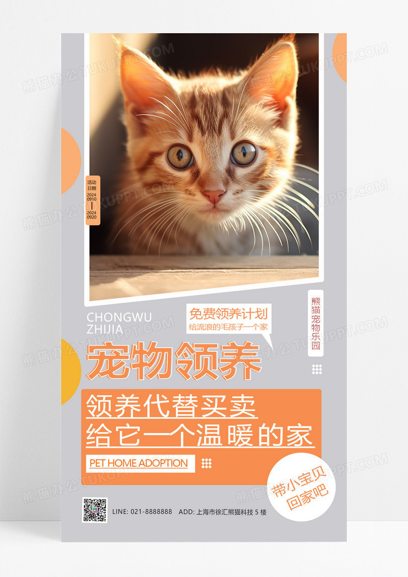 大气时尚创意宠物领养手机海报AI