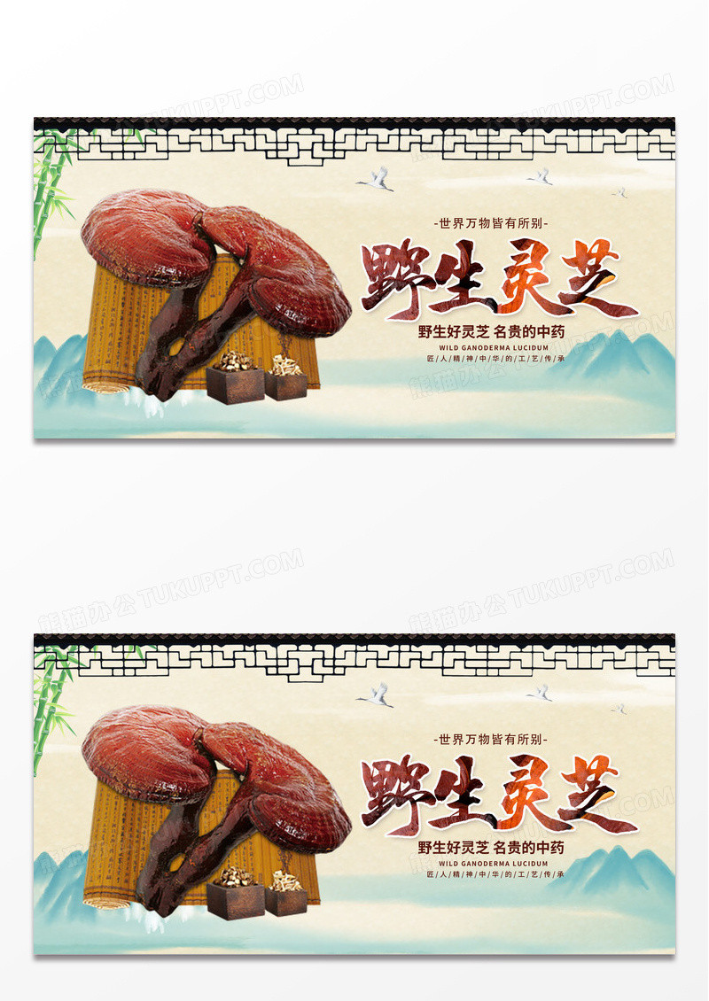 传统中国风中药灵芝宣传展板设计