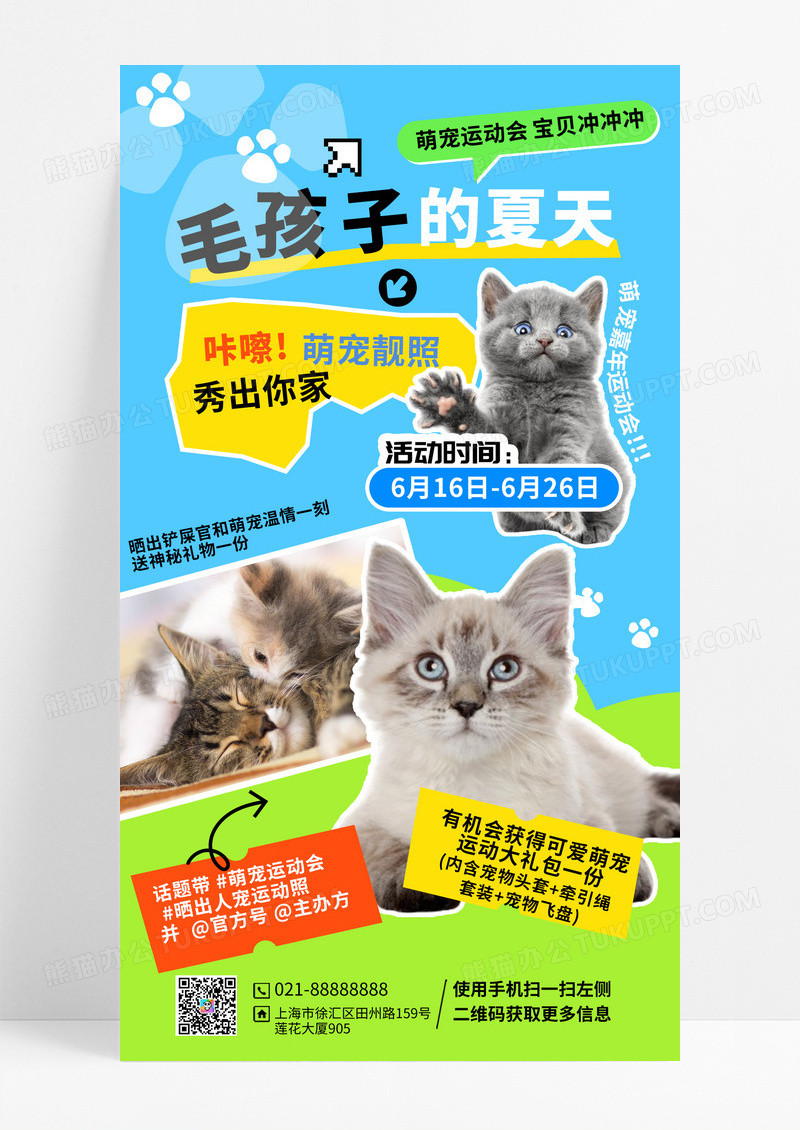 夏日萌宠宠物运动会手机海报