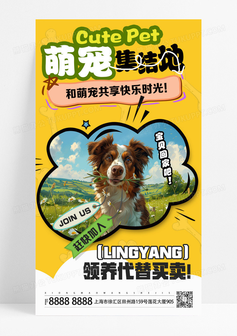 黄色简约宠物集集结地海报海报设计