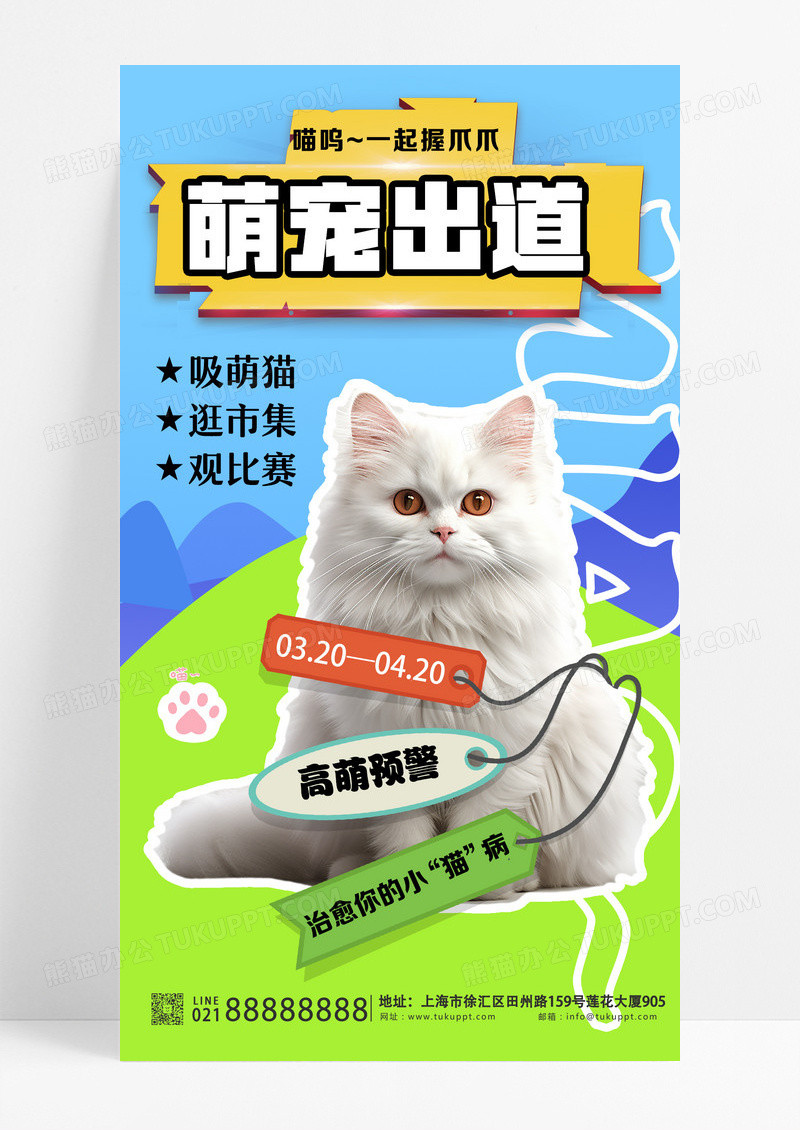 蓝色简约春季宠物猫咪海报创意海报