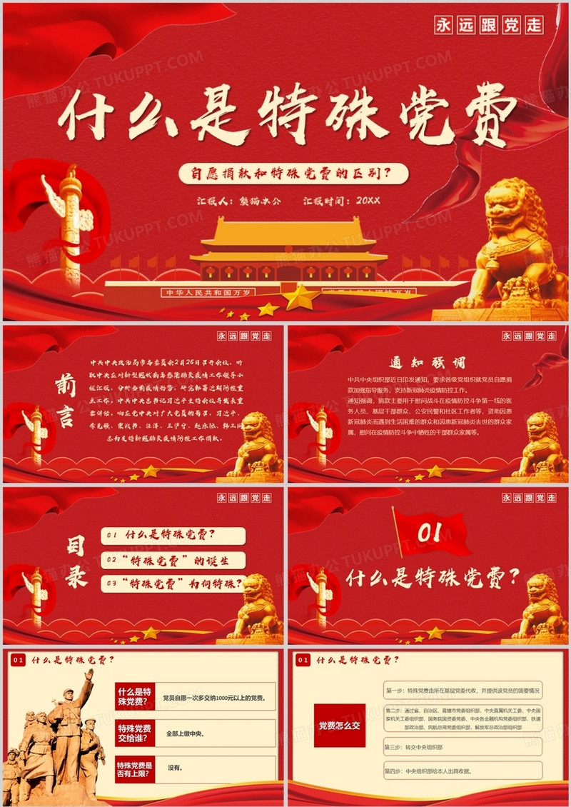 什么是特殊党费宣传介绍PPT模板