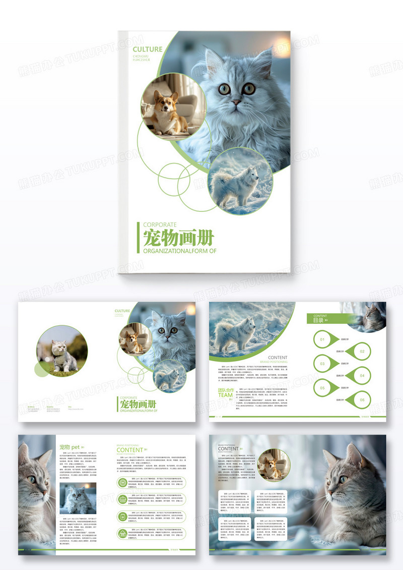 浅绿色创意简洁宠物画册整套设计画册模版