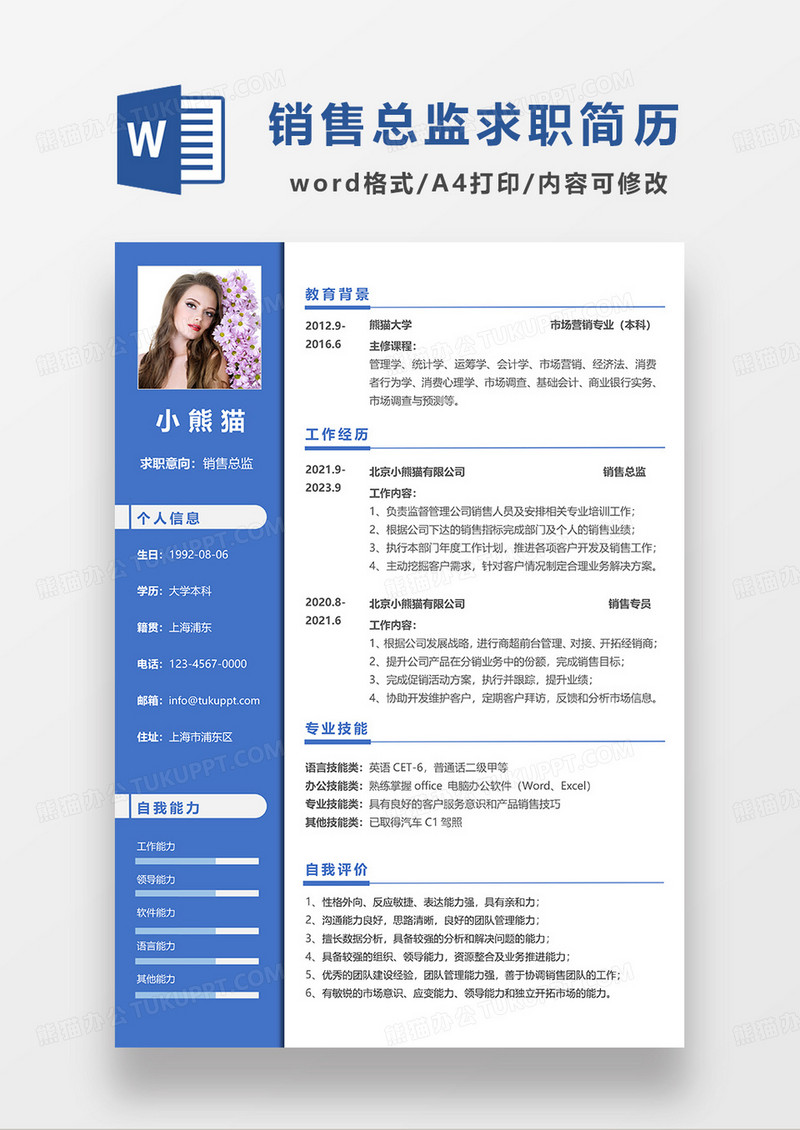蓝色简约销售总监求职简历WORD简历模板
