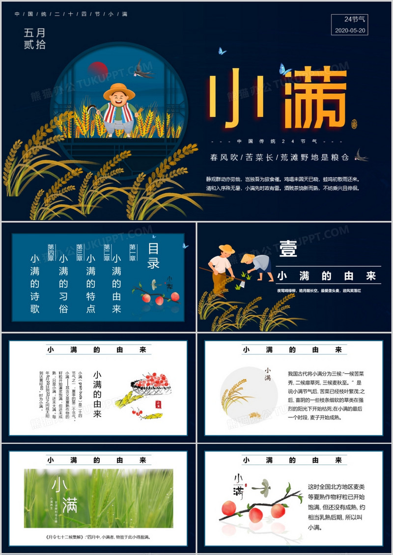 卡通风格中国小满节气活动策划PPT模