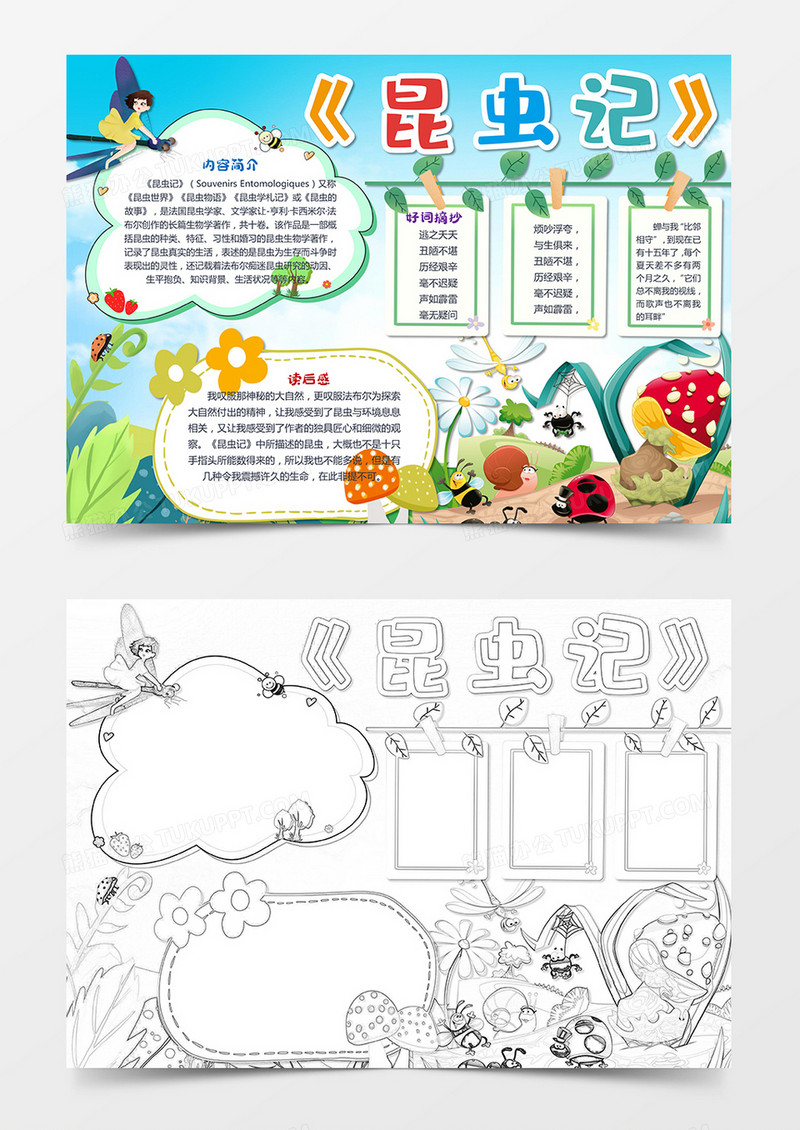 昆虫记读后感小报手抄报word模板