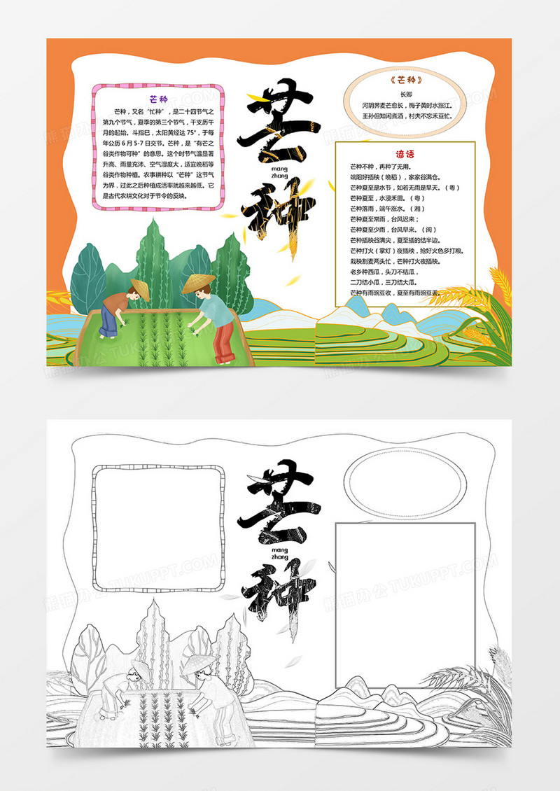卡通芒种小报节气小报
