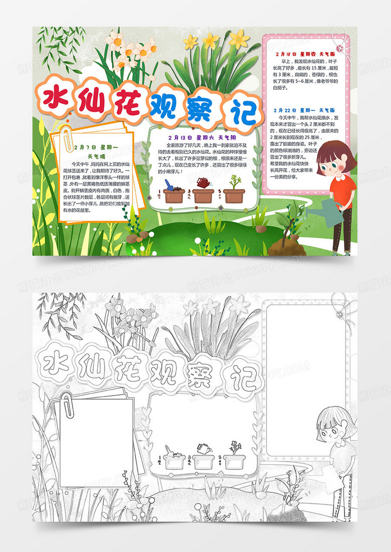 绿色卡通水仙花种植水仙花小学生手抄报卡通小报手抄报