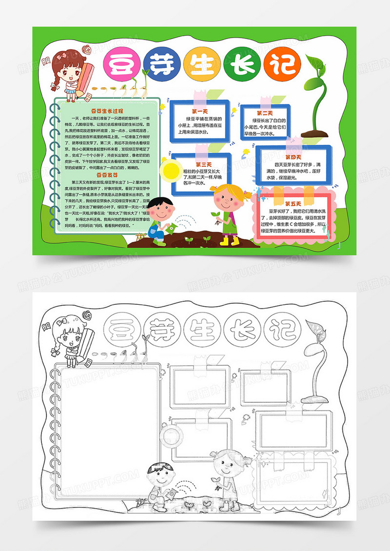 word版小报植物黄豆芽生长记
