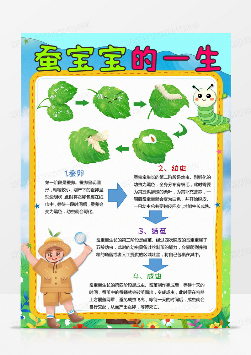 蚕宝宝的一生成长手抄报模板素材