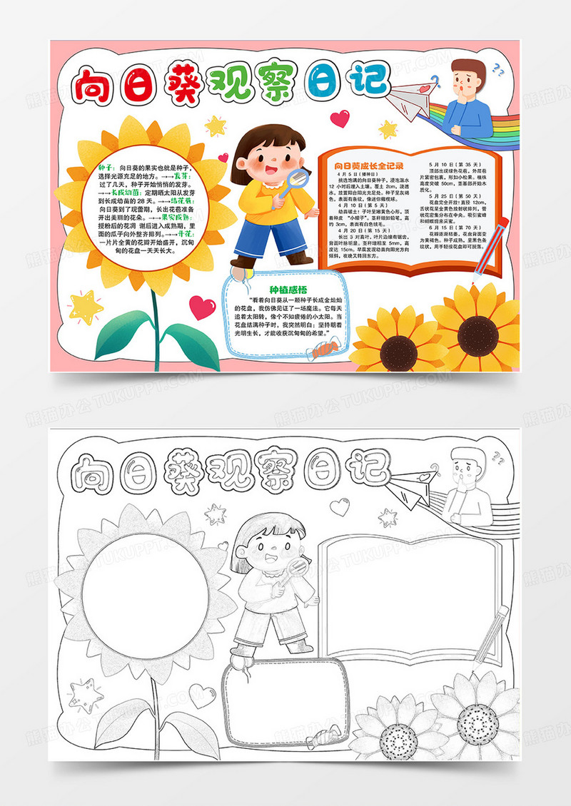 手绘卡通向日葵生长记植物生长小报手抄报