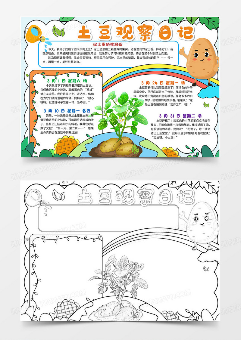 手绘卡通土豆生长记手抄报版面设计卡通小报手抄报
