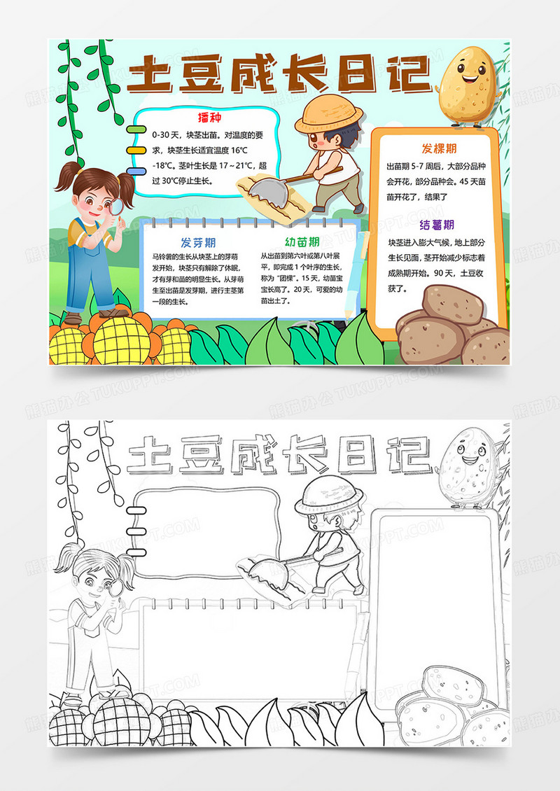 绿色卡通土豆观察日记小报手抄报卡通小报手抄报