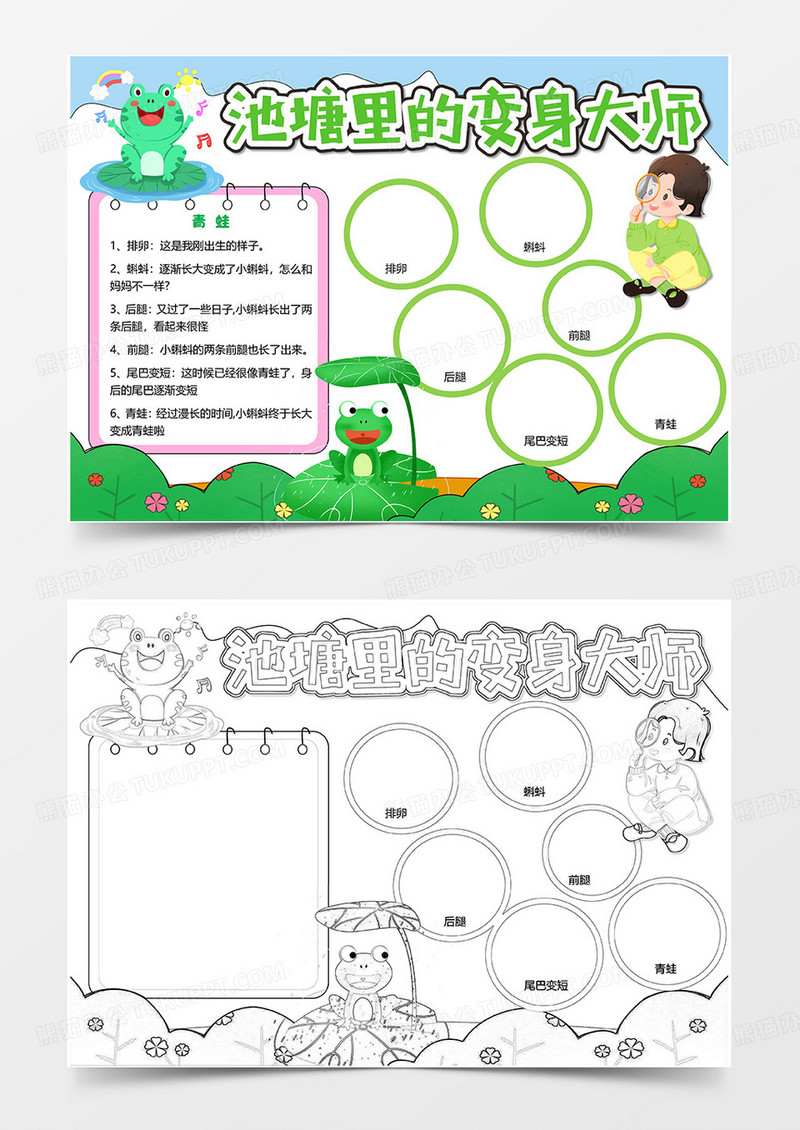 绿色卡通青蛙观察日记小报手抄报