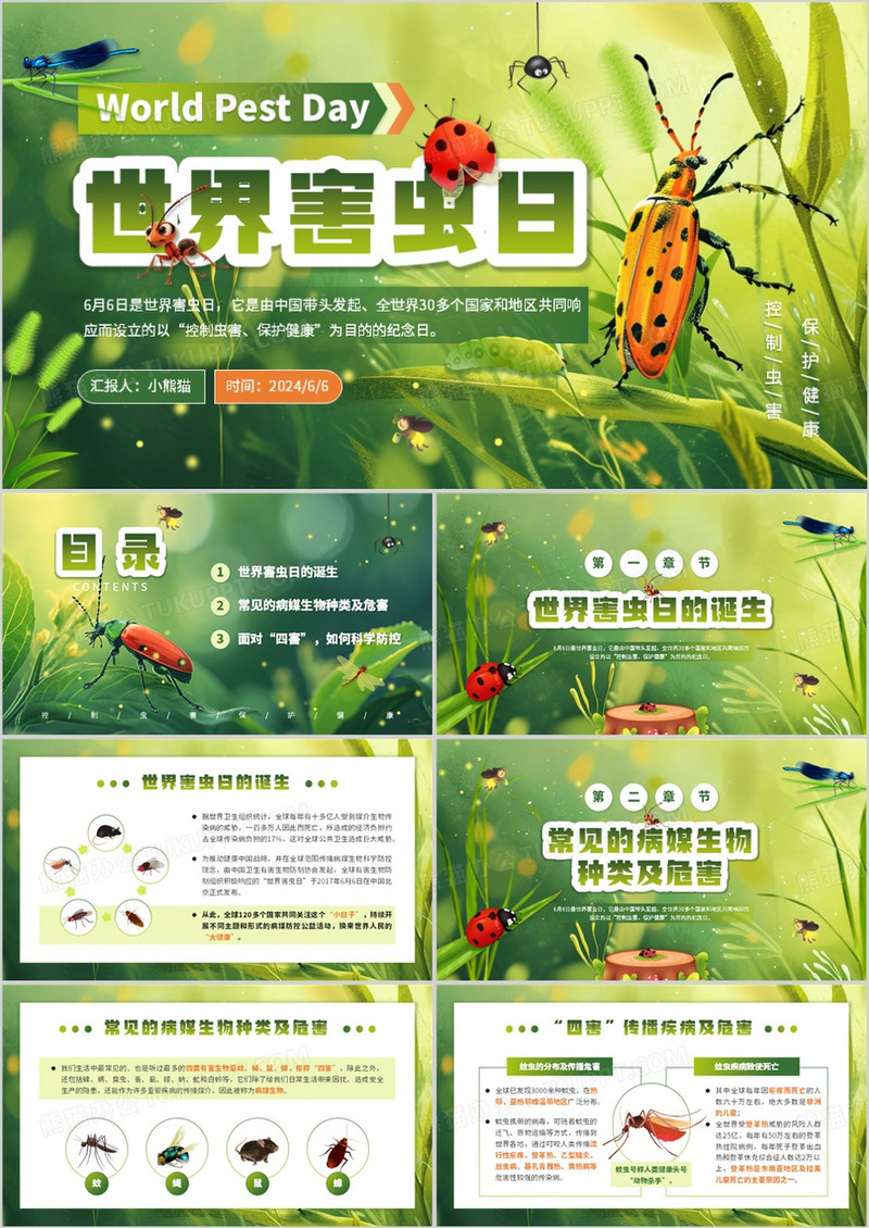 绿色插画风世界害虫日知识宣传PPT模板