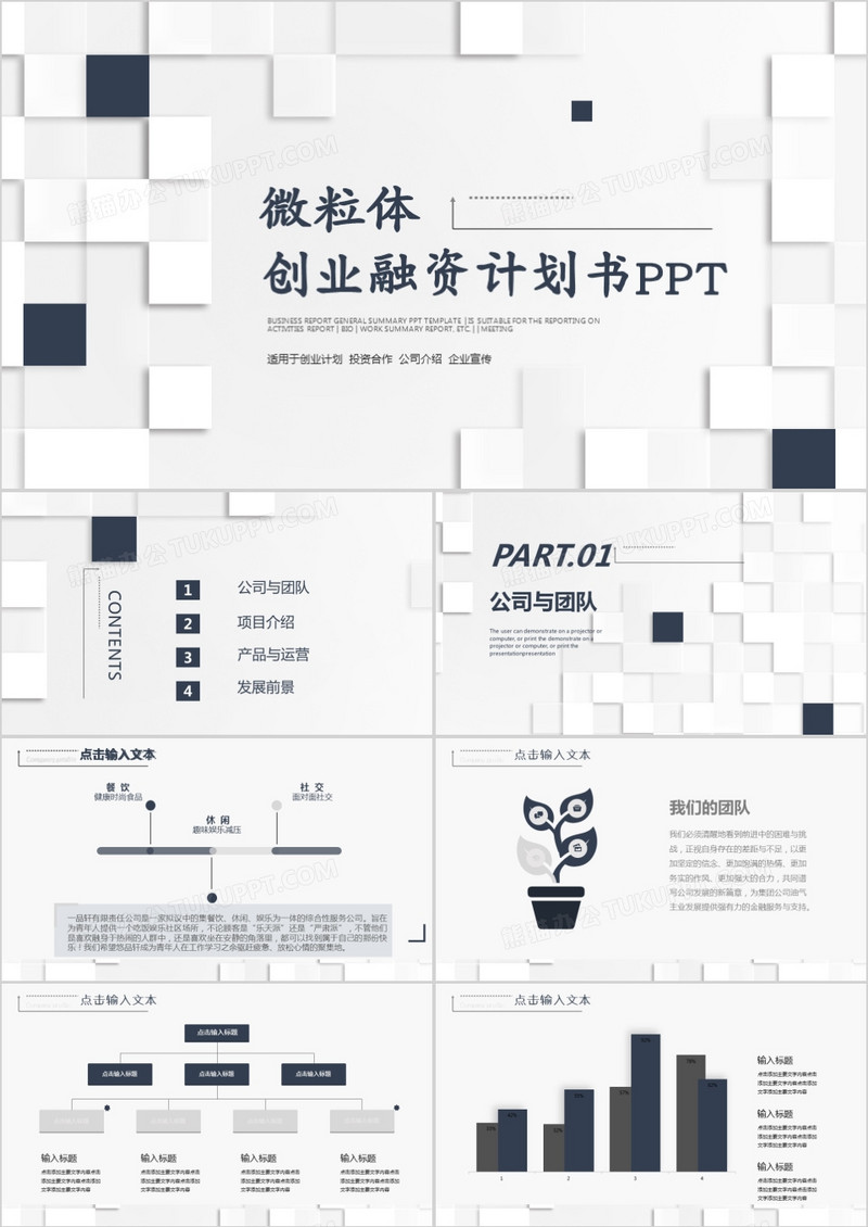 灰色微粒体创业融资计划书PPT模板