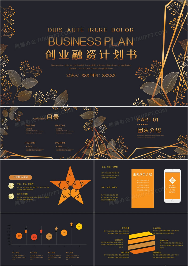 黑金创业融资计划书PPT模板