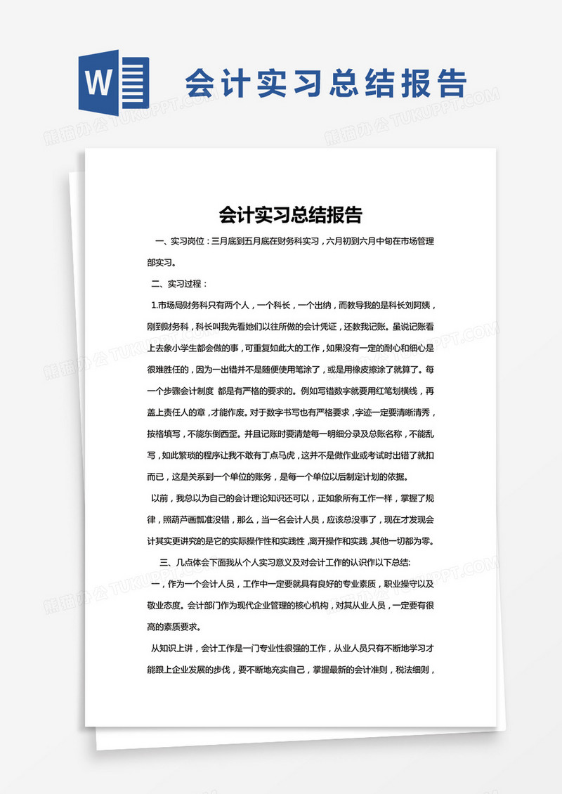 简约会计实习总结报告Word模版