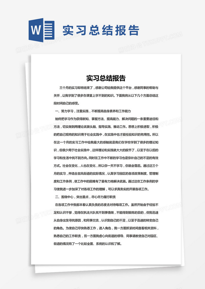 简约实习总结报告范文Word模版
