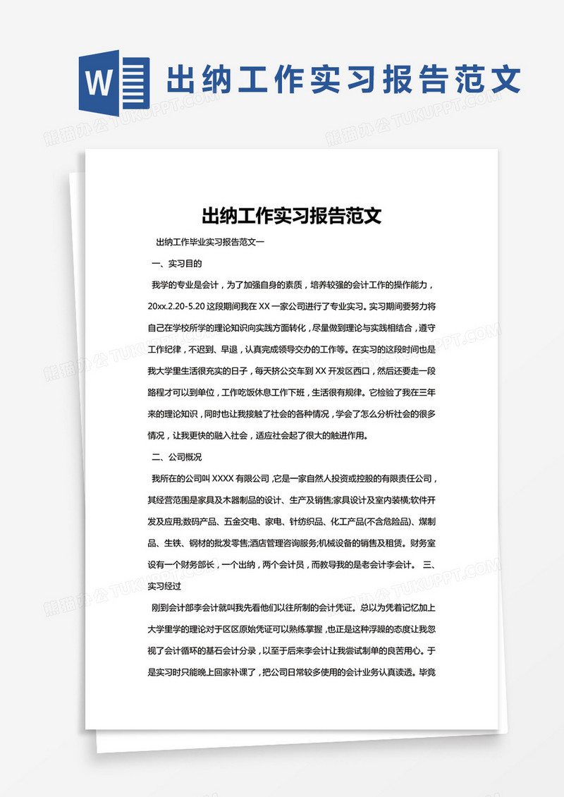 简约出纳工作实习报告范文Word模版