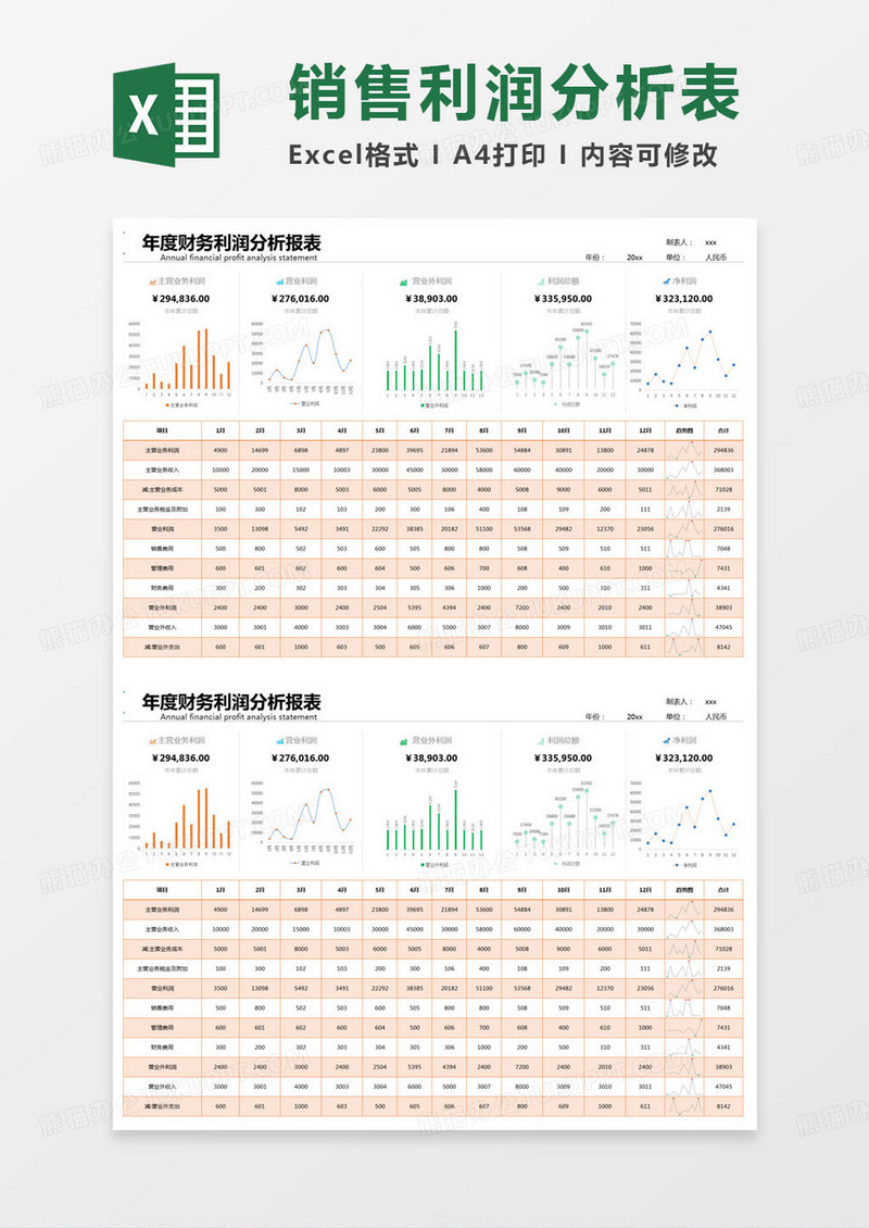 简约年度财务利润分析报表excel模版