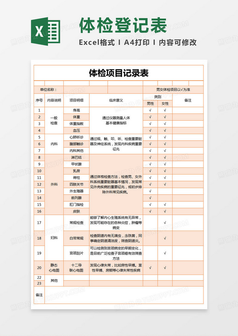 简约体检项目记录表excel模版