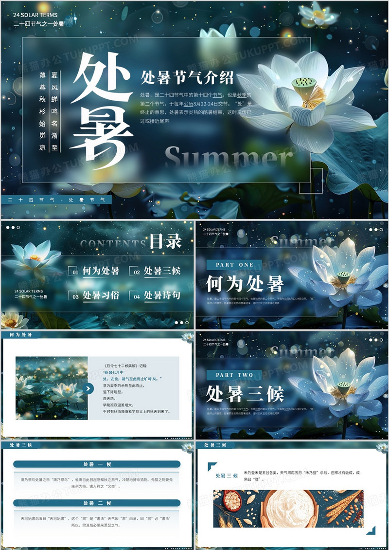蓝色插画风二十四节气之处暑介绍PPT模板