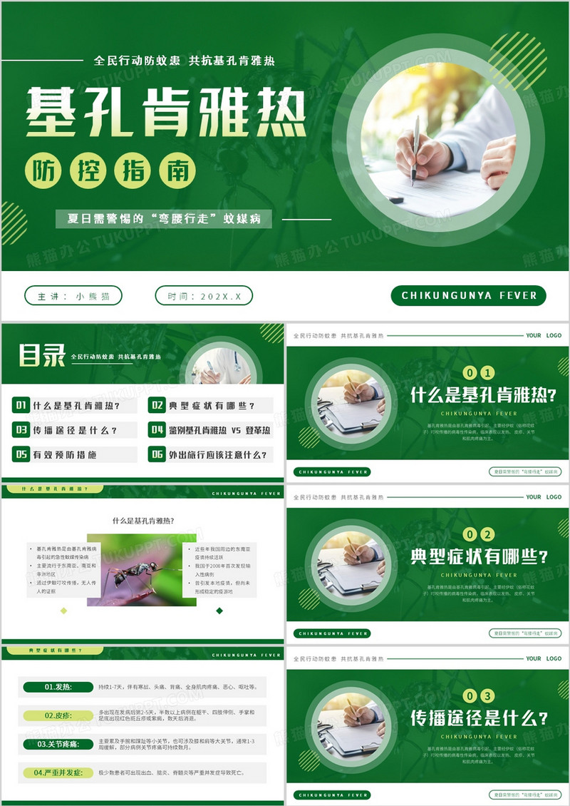 绿色简约风基孔肯雅热防控指南PPT模板