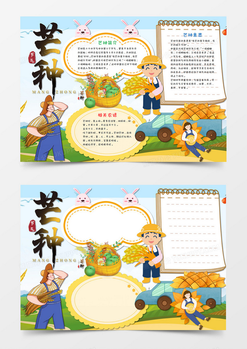 卡通 芒种传统节气 手抄报word模板  