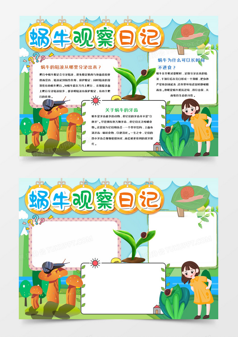 蜗牛观察日记手抄报word模板