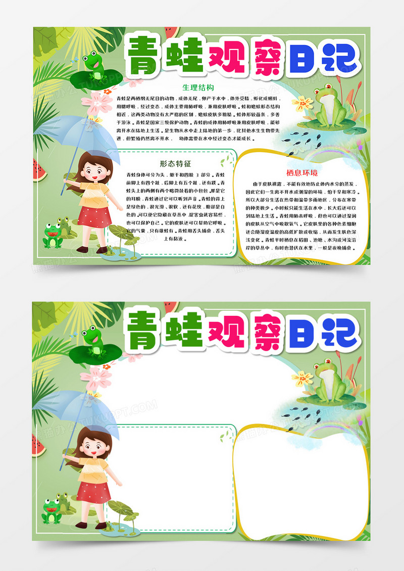 青蛙观察日记手抄报word模板     