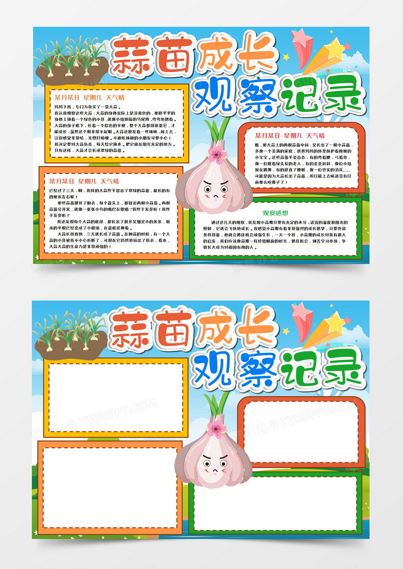 蒜苗成长观察记录手抄报word模板 