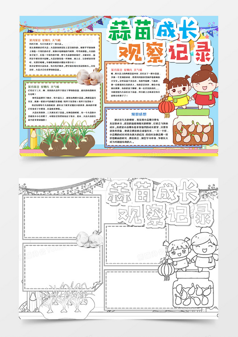 卡通蒜苗观察日记手抄报模板     