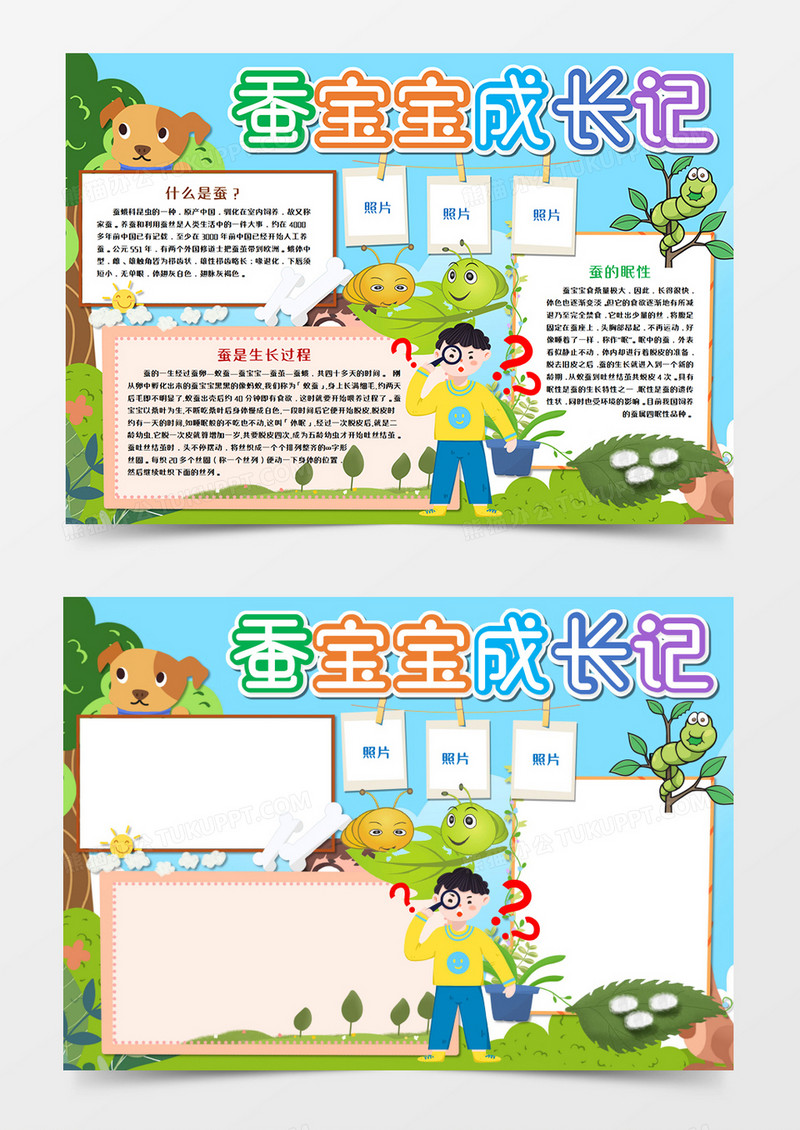 蚕宝宝成长记手抄报word模板  