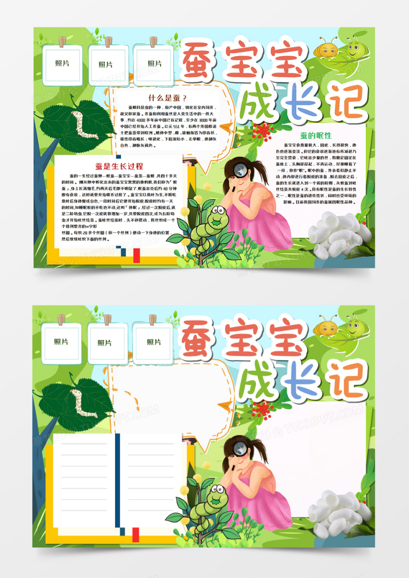 蚕宝宝成长记手抄报模板   